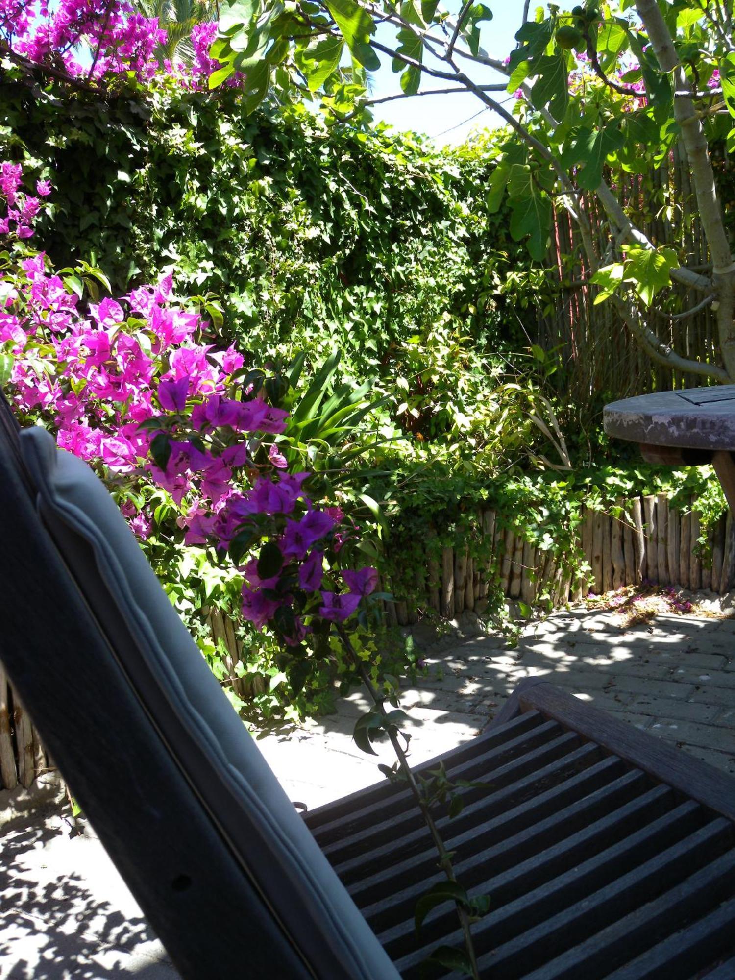 Capetown 4U Guesthouse Bloubergstrand Exterior photo