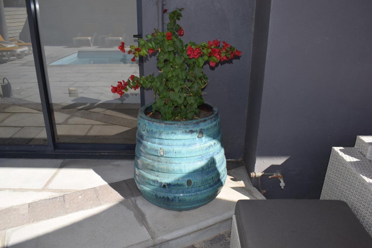 Capetown 4U Guesthouse Bloubergstrand Exterior photo